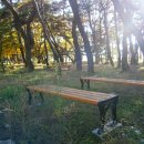 장풍숲입구 이미지