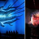 진하우스 이미지