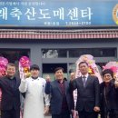 명품한우 네이버블로그