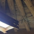 고메똥골 이미지