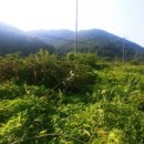 우진부동산중개사무소 이미지