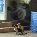 뉴송정하우스 이미지