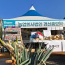 장수식물농업회사법인㈜ | 수세미 재배방법