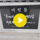 사랑의 양양감리교회 이미지