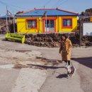 품마을행정사 합동사무소 이미지