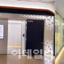 셀이노베이션