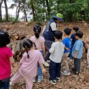 오금숲어린이집 이미지