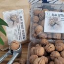 백지상회