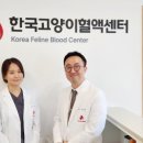 한국고양이혈액센터 이미지