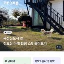 달콤하개 이미지