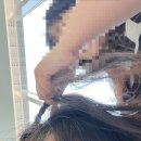 뚱보카센타 | 25.08.01-08.12.