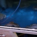 대밭횟집 이미지