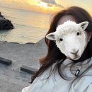 마노드살롱 네이버블로그