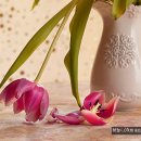 GS25히딩크점 | 백퍼센트 민우 사망, 그는 누구인가? 반올림 3 데뷔