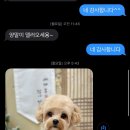 살롱드멍뭉 이미지