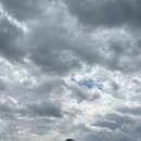 [블챌] 22 주간일기 챌린지 - 1 (0601-0606)