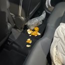 우리종합카써비스 | 11월 2박 3일 제주 여행 1일차 | 제주엔젤렌트카, 이디하우스, 한잔하세화