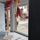 루이하우스 | 을지로]루이티하우스 - 을지로 디저트 맛집 ,케이크가 맛있는 을지로 카페 루이티하우스 내돈내산 솔직후기