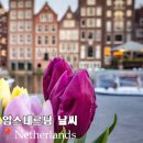 주식회사어부 | 암스테르담6월7월8월날씨 치안