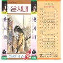 윤시내 고목 이미지