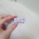 코앤츄 네이버블로그