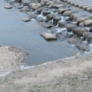 오릉 북쪽 화장실 이미지