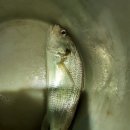 직포마을 화장실 이미지