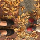 건우자동차공업사 | ~722일)김수로왕릉 가을축제 구경하기/김해맛집'돈까스공업사'/아기랑엄마랑 미술놀이해요