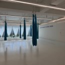 블루웨일플라잉센터송산점 | 송도 플라잉요가 블루웨일 초보 성인반 솔직 후기