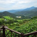 소노펠리체 비발디파크 이미지