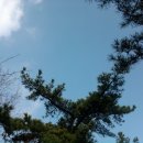지성네트워크