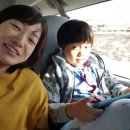 스마일문구사 | [20151018 - 20151101] 미국 서부 여행기(3)_ 트렉 아메리카(허클베리핀) 골드러시 투어 후기