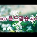Yesterday Once More외 20곡 (01:50:13) 이미지