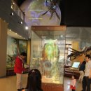 서대문자연사박물관 이미지