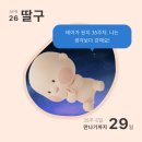크린아이빨래빵 | 35주 임산부 산후도우미 신청결과 및 아기용품 무한빨래