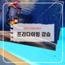 인어다이브 | 용인 프리다이빙 강습 아이랑 함께한 후기 인어다이브
