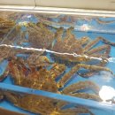 기장시장대게 이미지