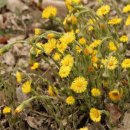 농업회사법인 유한회사 우리농장 이미지