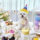 The 마실 이미지