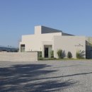 선사애견 이미지