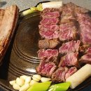 몽탄 티스토리