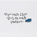 캘리 이미지