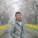 혜안여행사