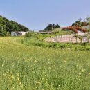 가평 양떼목장 이미지