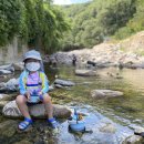 장유사 공중화장실 | 김해 장유 대청계곡 주차장 만차, 명태정가에 주차 하고 물놀이