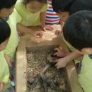 리오바어린이집 이미지