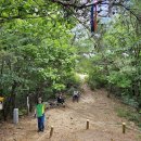 대전둘레산길(8구간) 이미지