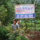 김종한농장 경향신문