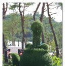 와이에스바이오 이미지