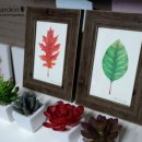 보태니컬 아트 초급 이미지